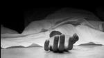 The encounter took place at Andhari Dhoda of Chainpur in Palamu on Tuesday morning. (Representative file photo) The encounter took place at Andhari Dhoda of Chainpur in Palamu on Tuesday morning. (Representative file photo)
