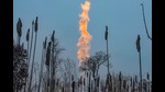 Opec+, which includes Russia, is a key element of price stability (PTI) Opec+, which includes Russia, is a key element of price stability (PTI)
