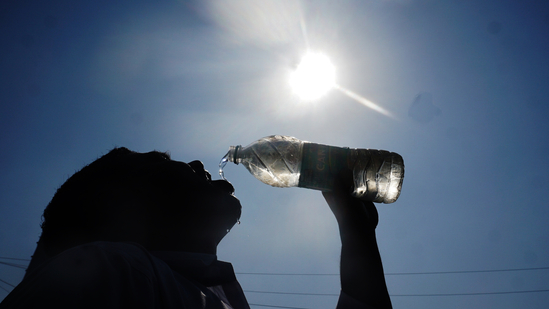 Heat (representational image)(Praful Gangurde /HT Photo)