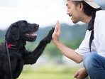 Play with your dog whenever you are stressed. (Shutterstock) Play with your dog whenever you are stressed. (Shutterstock)