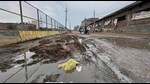 Cow dung thrown on streets of Blocks A and B of Tajpur Road in Ludhiana on Saturday. (Gurpreet Singh/HT) Cow dung thrown on streets of Blocks A and B of Tajpur Road in Ludhiana on Saturday. (Gurpreet Singh/HT)