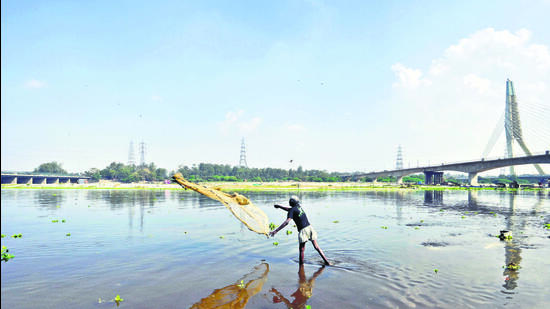 A fisherman casts his net in the Yamuna at Sur Ghat. The spot near the Wazirabad Barrage is the last point where fishes are found in the river. (Sanjeev Verma/HT Photo) A fisherman casts his net in the Yamuna at Sur Ghat. The spot near the Wazirabad Barrage is the last point where fishes are found in the river. (Sanjeev Verma/HT Photo)