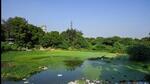 During a previous hearing, the NGT had directed the administration to provide precise details on 1,018 wetlands, including their geo-coordinates, extent of encroachments, legal proceedings, and restoration efforts. Additionally, it ordered an assessment of other wetlands listed in the Wetland Atlas but not part of the 1,018 identified sites. (HT Archive) During a previous hearing, the NGT had directed the administration to provide precise details on 1,018 wetlands, including their geo-coordinates, extent of encroachments, legal proceedings, and restoration efforts. Additionally, it ordered an assessment of other wetlands listed in the Wetland Atlas but not part of the 1,018 identified sites. (HT Archive)