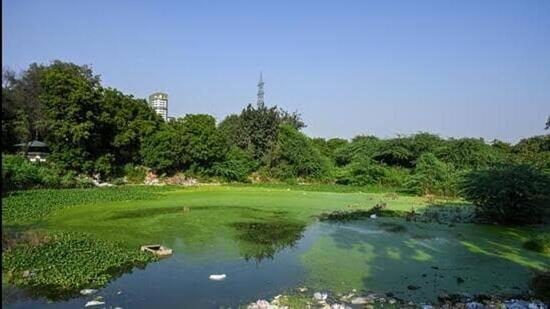 During a previous hearing, the NGT had directed the administration to provide precise details on 1,018 wetlands, including their geo-coordinates, extent of encroachments, legal proceedings, and restoration efforts. Additionally, it ordered an assessment of other wetlands listed in the Wetland Atlas but not part of the 1,018 identified sites. (HT Archive) During a previous hearing, the NGT had directed the administration to provide precise details on 1,018 wetlands, including their geo-coordinates, extent of encroachments, legal proceedings, and restoration efforts. Additionally, it ordered an assessment of other wetlands listed in the Wetland Atlas but not part of the 1,018 identified sites. (HT Archive)