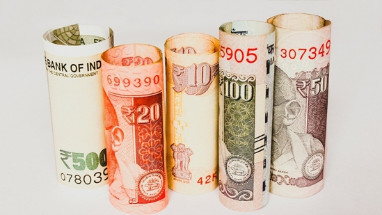 This means that all those who have to file their return by December 31, but haven't done so, will get an additional two weeks to do it.(Representational Image/Pixabay) This means that all those who have to file their return by December 31, but haven't done so, will get an additional two weeks to do it.(Representational Image/Pixabay)