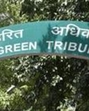 NGT has been hearing the plea since February 2023. NGT has been hearing the plea since February 2023.