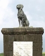 Former MP Sambhajiraje Chhatrapati proposes removal of statue of Waghya, the dog known for its loyalty to Chhatrapati Shivaji Maharaj, from Raigad Fort. (HT) Former MP Sambhajiraje Chhatrapati proposes removal of statue of Waghya, the dog known for its loyalty to Chhatrapati Shivaji Maharaj, from Raigad Fort. (HT)