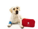 Keep a fully stocked first aid box at home.(Shutterstock) Keep a fully stocked first aid box at home.(Shutterstock)
