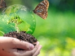 Carbon credit (Shutterstock) Carbon credit (Shutterstock)