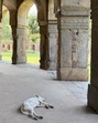 There is a place in Lodhi Garden that remains relatively empty, although it harbours a monument of considerable significance. (HT Photo) There is a place in Lodhi Garden that remains relatively empty, although it harbours a monument of considerable significance. (HT Photo)