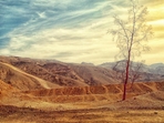 Phoenix breaks March heat record as temperature soars to 99 degrees(Representational Image) Phoenix breaks March heat record as temperature soars to 99 degrees(Representational Image)
