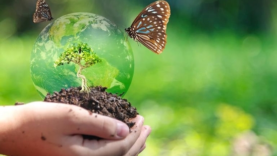 Carbon credit (Shutterstock) Carbon credit (Shutterstock)