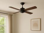 Stay cool and stylish with unbeatable fan deals! Stay cool and stylish with unbeatable fan deals!