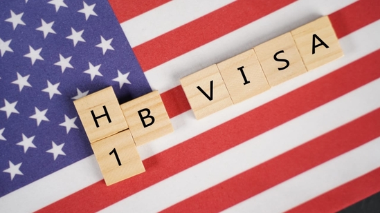USCIS data for 2024 reveals Amazon and Indian-origin firms top H-1B visa approvals, with 130,000 visas granted.(shutter stock) USCIS data for 2024 reveals Amazon and Indian-origin firms top H-1B visa approvals, with 130,000 visas granted.(shutter stock)
