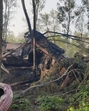 The drivers of both the goods trains were killed in the head-on collision. (HT sourced photo) The drivers of both the goods trains were killed in the head-on collision. (HT sourced photo)