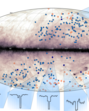 In this full-sky map presented in Galactic coordinates, the background shows the brightness of 21-cm line emission tracing both warm and cold components of neutral hydrogen gas from the Milky Way galaxy as mapped by the HI4PI collaboration. (SOURCED) In this full-sky map presented in Galactic coordinates, the background shows the brightness of 21-cm line emission tracing both warm and cold components of neutral hydrogen gas from the Milky Way galaxy as mapped by the HI4PI collaboration. (SOURCED)