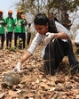 A final group continues to undergo rehabilitation and is expected to be considered for release in due course, said a senior official from the Pune Forest Department. (HT) A final group continues to undergo rehabilitation and is expected to be considered for release in due course, said a senior official from the Pune Forest Department. (HT)