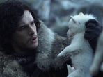 In the George RR Martin's Game of Thrones universe, dire wolves are huge, legendary creatures deeply connected to the Stark family, serving as loyal companions and powerful symbols of their resilience and identity.(HBO) In the George RR Martin's Game of Thrones universe, dire wolves are huge, legendary creatures deeply connected to the Stark family, serving as loyal companions and powerful symbols of their resilience and identity.(HBO)