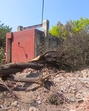 Civil surgeon Sanjay Kamra said the tree removal was done to build a critical care block in the hospital. Civil surgeon Sanjay Kamra said the tree removal was done to build a critical care block in the hospital.