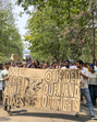 It is true that the green patch in UoH-Kancha Gachibowli is not officially classified as a forest. But it is one of the most biodiverse areas in the city (PTI) It is true that the green patch in UoH-Kancha Gachibowli is not officially classified as a forest. But it is one of the most biodiverse areas in the city (PTI)