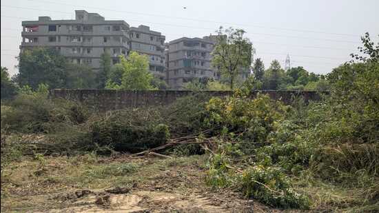 Officials said the land parcel in question belongs to NII, with CPWD carrying out work in the area. (HT Photo) Officials said the land parcel in question belongs to NII, with CPWD carrying out work in the area. (HT Photo)