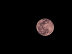 The Super Pink Moon, peaking on April 12, 2025, promises a spectacular sight for sky watchers.(Unsplash ) The Super Pink Moon, peaking on April 12, 2025, promises a spectacular sight for sky watchers.(Unsplash )