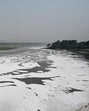 Capital and technology for this solution are readily available, and now, so is the political drive. Given these drivers, the river water ought to achieve bathing quality in the near future. (Sunil Ghosh / Hindustan Times) Capital and technology for this solution are readily available, and now, so is the political drive. Given these drivers, the river water ought to achieve bathing quality in the near future. (Sunil Ghosh / Hindustan Times)