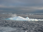Arctic (AFP) Arctic (AFP)