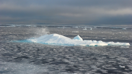 Arctic (AFP) Arctic (AFP)