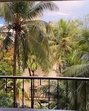 Summer in Mumbai. Summer in Mumbai.