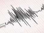 Tremors were felt in Mandi and neighbouring areas in Himachal Pradesh. (Representational Photo) Tremors were felt in Mandi and neighbouring areas in Himachal Pradesh. (Representational Photo)