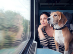 Traveling with pets on trains can be exciting but you need to prepare beforehand.(Shutterstock) Traveling with pets on trains can be exciting but you need to prepare beforehand.(Shutterstock)