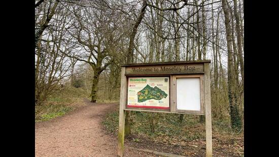 Moseley Bog was the inspiration behind the mysterious Old Forest, haunt of the ageless Tom Bombadil. (Visit Birmingham) Moseley Bog was the inspiration behind the mysterious Old Forest, haunt of the ageless Tom Bombadil. (Visit Birmingham)
