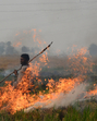 Paddy straw burning in Punjab and Haryana is one of the reasons behind the alarming spike in air pollution in the National Capital Region in October and November. (SPicture only for representational purpose) Paddy straw burning in Punjab and Haryana is one of the reasons behind the alarming spike in air pollution in the National Capital Region in October and November. (SPicture only for representational purpose)