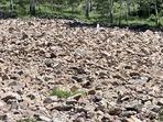 Can you spot the woman camouflaged in a rocky landscape?(Reddit/Warm_Concentrate0420) Can you spot the woman camouflaged in a rocky landscape?(Reddit/Warm_Concentrate0420)