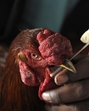 A health worker takes a sample from a hen to test for bird flu in Noida. (Sunil Ghosh/ HT File Photo) A health worker takes a sample from a hen to test for bird flu in Noida. (Sunil Ghosh/ HT File Photo)