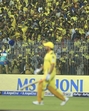 Chennai Super Kings' fans cheers as Mahendra Singh Dhoni arrives to bat. (AP) Chennai Super Kings' fans cheers as Mahendra Singh Dhoni arrives to bat. (AP)