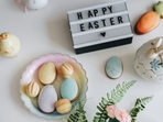 Easter 2025: This year, Easter will fall on April 20. (Representative Image- Unsplash ) Easter 2025: This year, Easter will fall on April 20. (Representative Image- Unsplash )