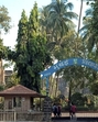 University of Mumbai (Hindustan Times) University of Mumbai (Hindustan Times)