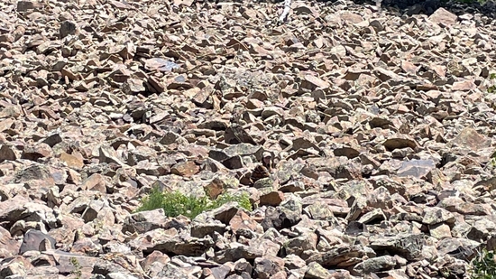 Can you spot the woman camouflaged in a rocky landscape?(Reddit/Warm_Concentrate0420) Can you spot the woman camouflaged in a rocky landscape?(Reddit/Warm_Concentrate0420)