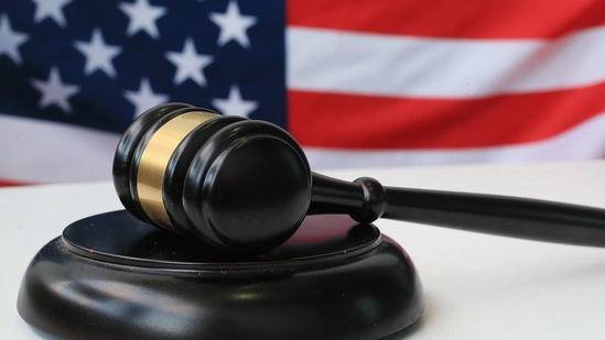 US Department of State spokesperson Margaret MacLeod informed that the Trump administration was rigorously enforcing immigration laws, including the Immigration and Nationality Act and the Alien Registration Act. (Pixabay) US Department of State spokesperson Margaret MacLeod informed that the Trump administration was rigorously enforcing immigration laws, including the Immigration and Nationality Act and the Alien Registration Act. (Pixabay)
