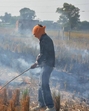 According to a report by the Indian Agricultural Research Institute, more than 15,830 cases were reported in Madhya Pradesh from April 1 to April 18 this year, while Punjab recorded 14 cases, Haryana had 47 cases, and Uttar Pradesh registered 3,607 cases. (Hindustan Times/ Representative photo) According to a report by the Indian Agricultural Research Institute, more than 15,830 cases were reported in Madhya Pradesh from April 1 to April 18 this year, while Punjab recorded 14 cases, Haryana had 47 cases, and Uttar Pradesh registered 3,607 cases. (Hindustan Times/ Representative photo)