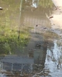 Overflowing sewerage in Block B of Sushant Lok Ph-3. (HT Photo) Overflowing sewerage in Block B of Sushant Lok Ph-3. (HT Photo)