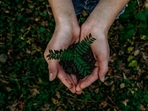 Earth Day 2025 Earth Day 2025