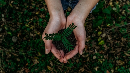 Earth Day 2025 Earth Day 2025