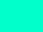 OLO OLO