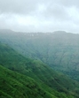 The government resolution (GR) issued on March 27 cited eight conditions to develop the project spread across protected area or eco sensitive zones. (HT) The government resolution (GR) issued on March 27 cited eight conditions to develop the project spread across protected area or eco sensitive zones. (HT)