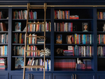Book recos for non-readers to kickstart the habit on World Book Day 2025(Photo: Dara Agruss Design) Book recos for non-readers to kickstart the habit on World Book Day 2025(Photo: Dara Agruss Design)
