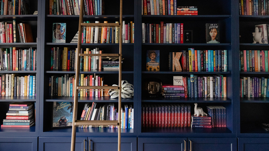 Book recos for non-readers to kickstart the habit on World Book Day 2025(Photo: Dara Agruss Design) Book recos for non-readers to kickstart the habit on World Book Day 2025(Photo: Dara Agruss Design)