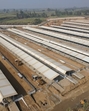 The sanctuary, at present, shelters around 2,300 cattle gathered from villages of Muzaffarnagar, said officials (Sourced) The sanctuary, at present, shelters around 2,300 cattle gathered from villages of Muzaffarnagar, said officials (Sourced)
